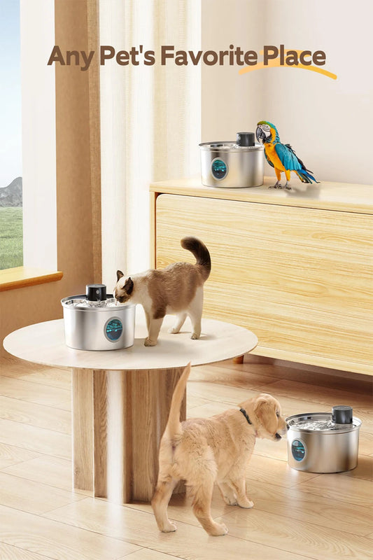 3.2L Stainless Steel Cat Water Fountain – Automatic Pet Drinking Bowl with USB Rechargeable Pump & Smart Sensor DealNede