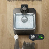Stainless Steel Cat Water Fountain DownyPaws 2.5L Smart Pet Dispenser DealNede