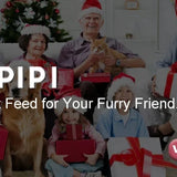 Smart Automatic Cat Feeder 1080P Camera WiFi App Control DealNede