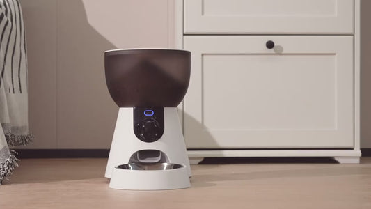 4L Smart Pet Feeder with HD Camera & WiFi – Automatic Cat & Dog Food Dispenser with App Control